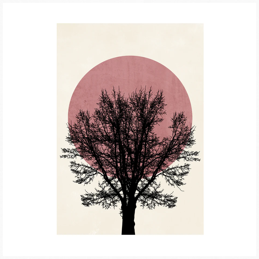 Blush Solitude Tree